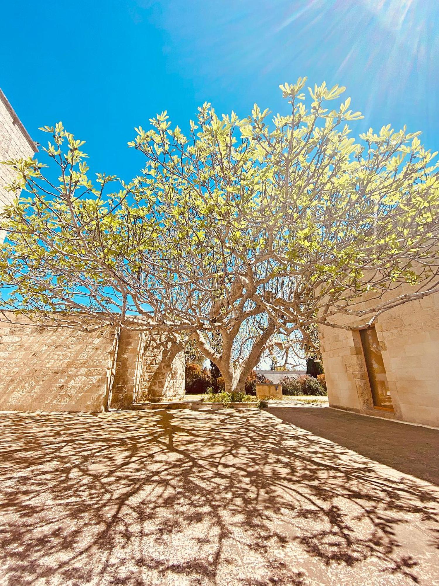 Masseria La Millenaria San Foca Exteriér fotografie